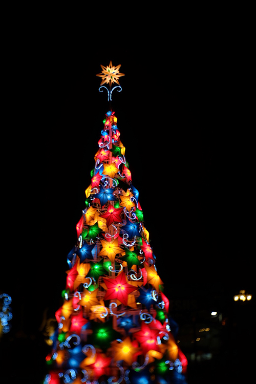 Christmas tree in HAU