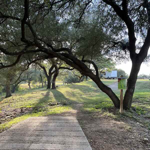 A concrete disc golf tee pad under a live oak