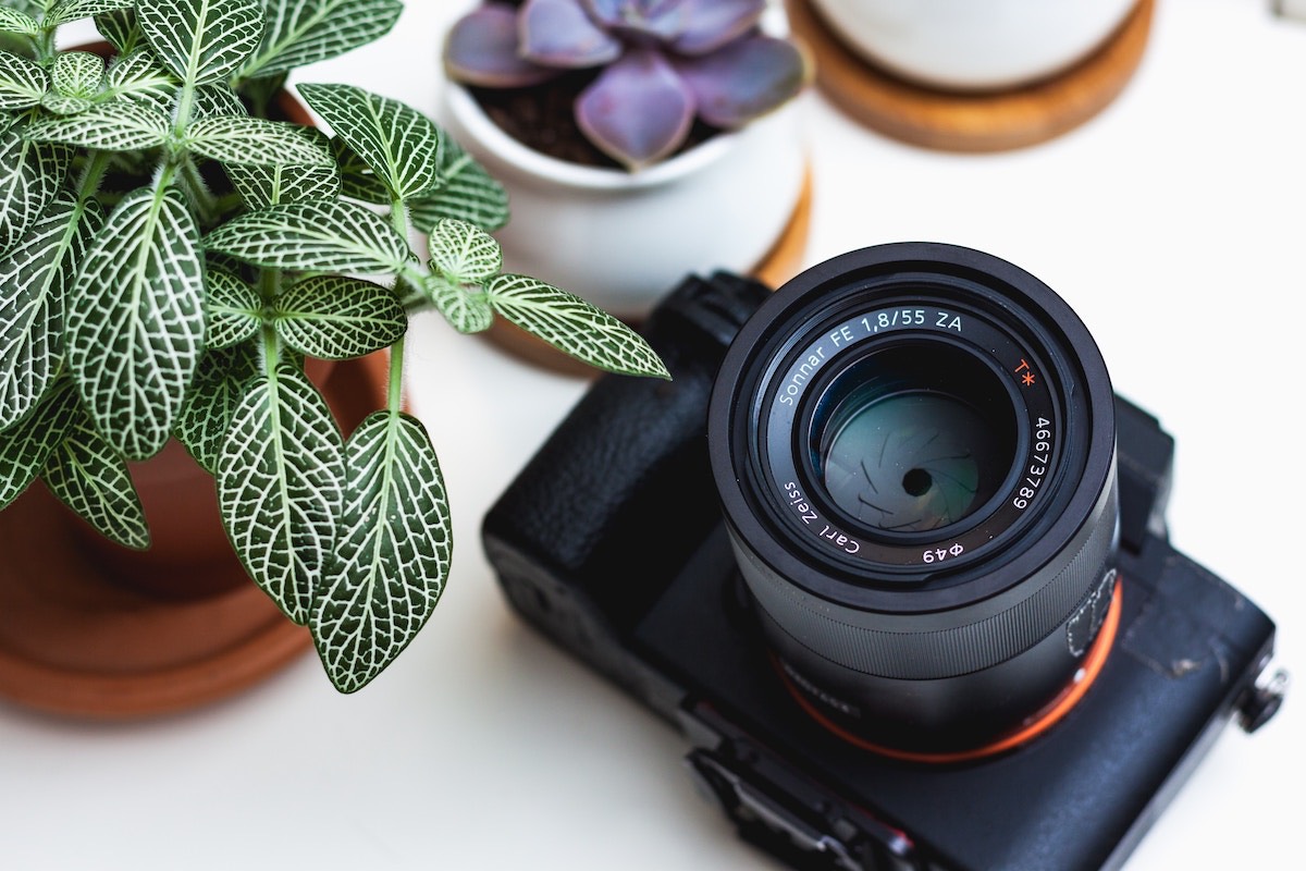 why-it-s-crucial-to-take-photos-when-you-move-into-a-new-rental