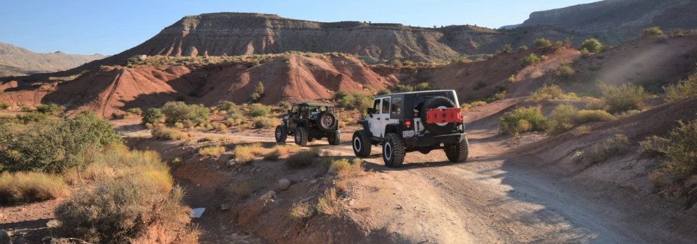 Step 4_ Get Out and Explore.webp