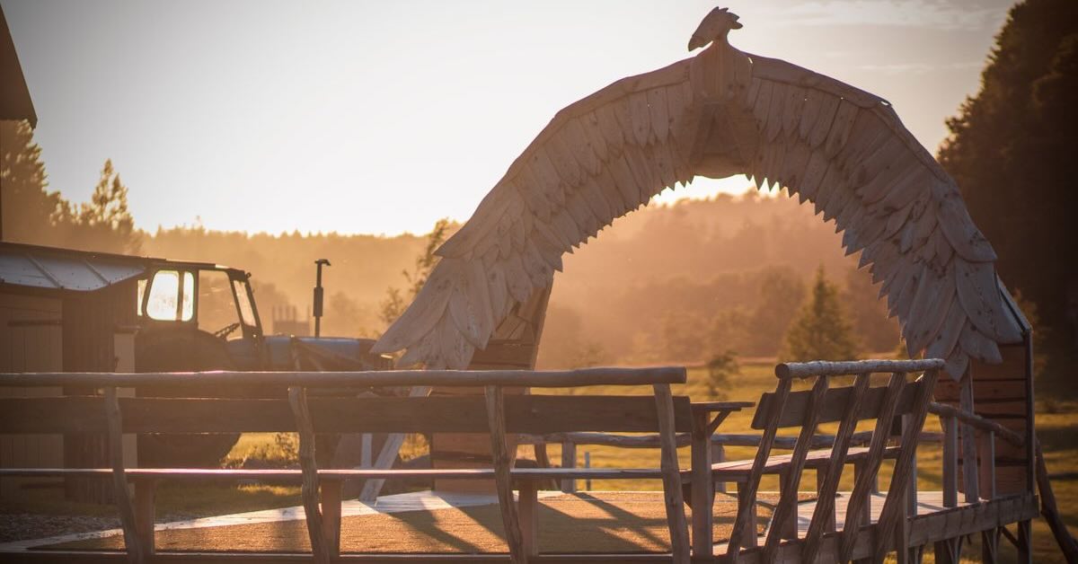 A wooden arch made to look like huge bird wings over a wooden platform with benches in morning sunlight