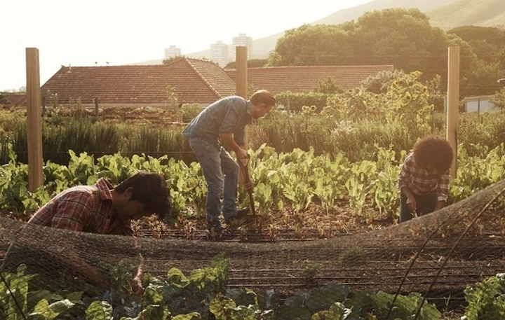 La vie à la ferme: une immersion marquante et importante - Expo