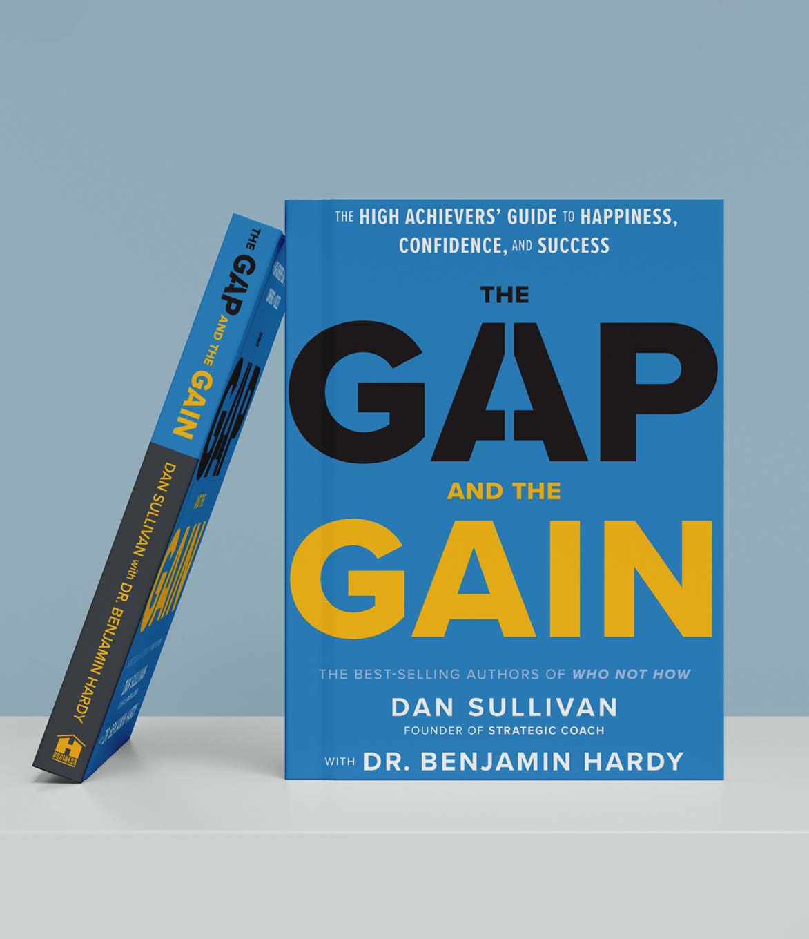 Image of book cover for The Gap And The Gain