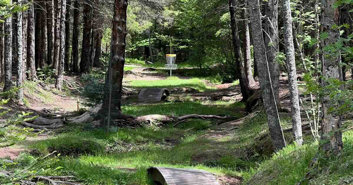 A disc golf basket with a tightly wooded fairway and multiple bridges leading to it