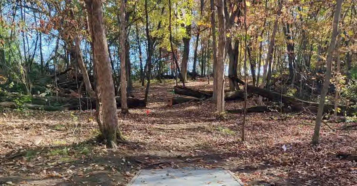 A disc golf tee pad leads to a very wooded fairway