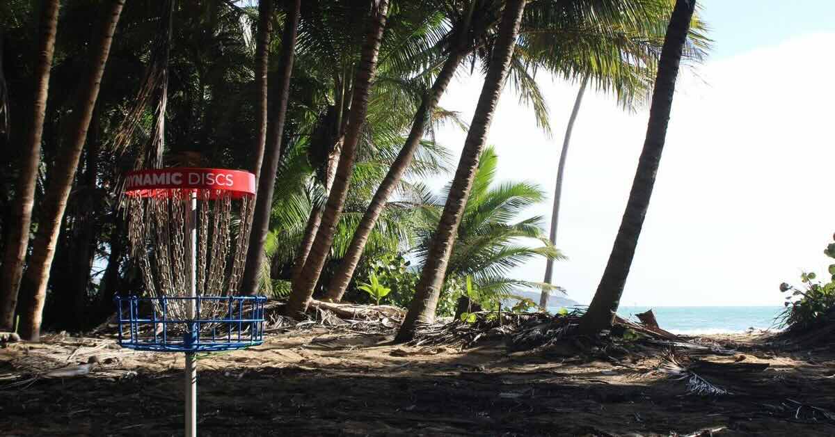 Disc golf basket under trees on on a sandy beach with palms