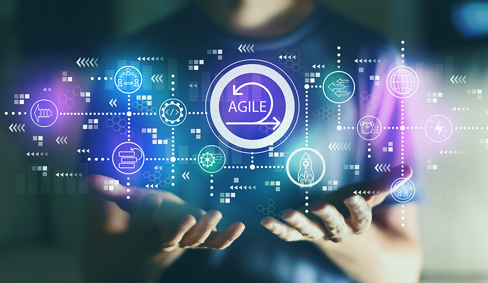 Disciplined Agile: Is It Right for Me?