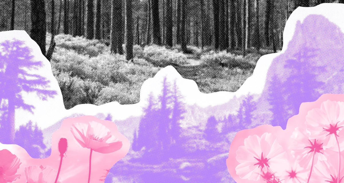 Nature designs on pink and purple backgrounds