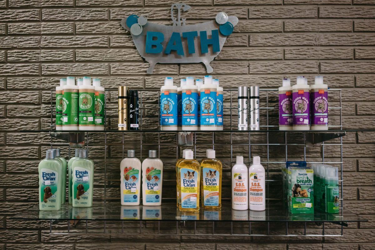 The DogLover’s Guide to ATL Doorsteps Rent