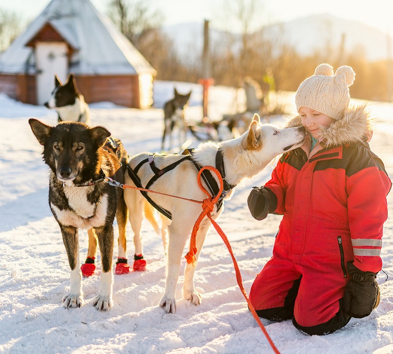 Séjour hiver Laponie 2025 L'expérience nordique inoubliable Odysway