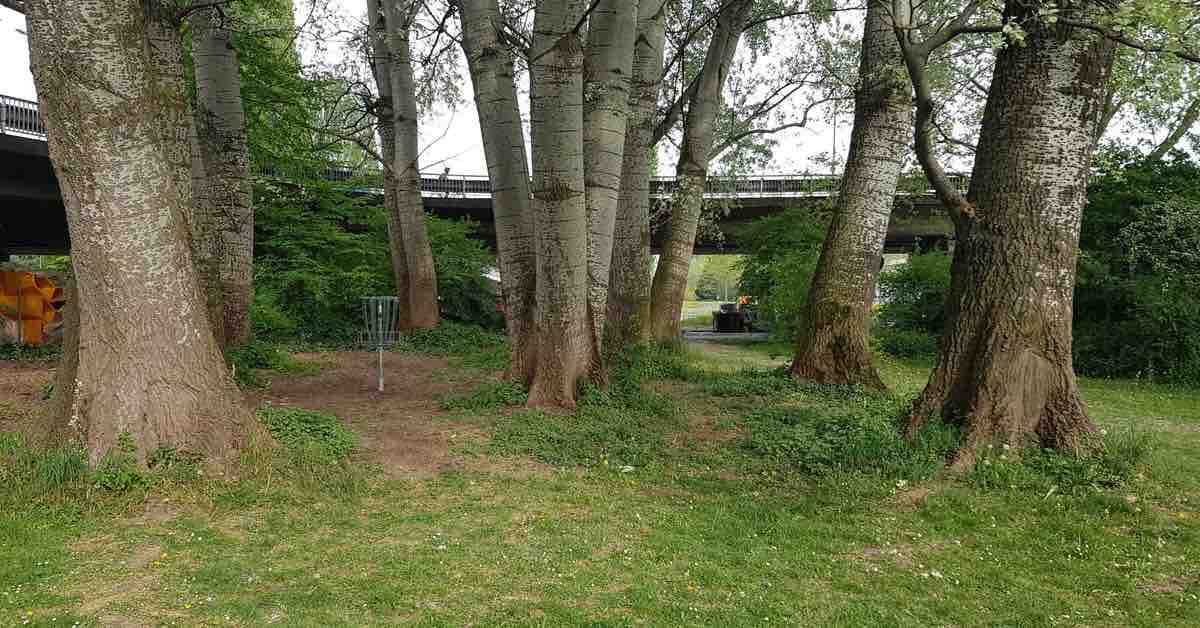 Disc golf basket among trees