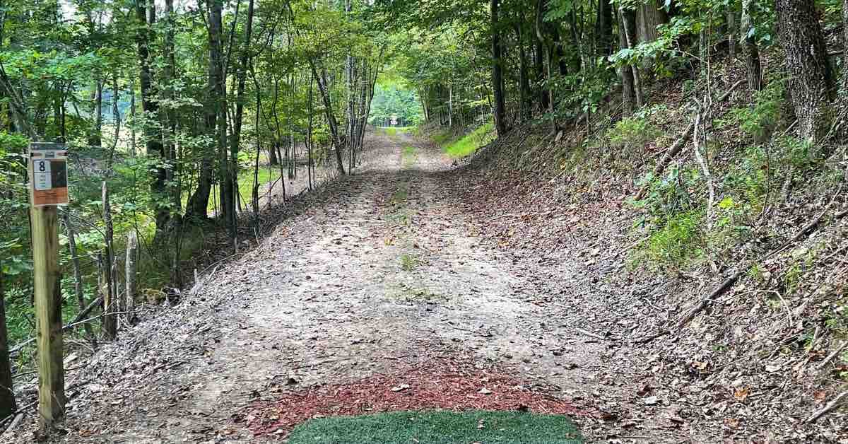 A turf tee leads to a tightly wooded disc golf fairway