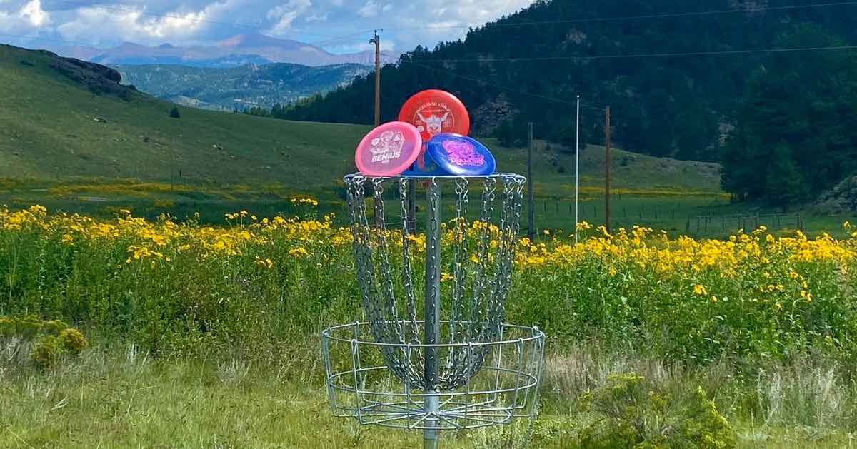 A disc golf basket with yellow flowers behind and mountains in background