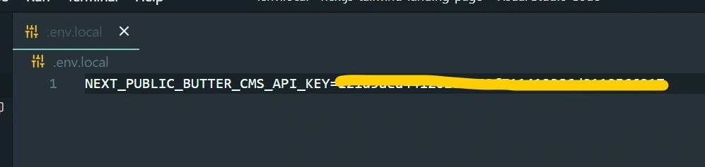 Next.js Public ButterCMS API Key