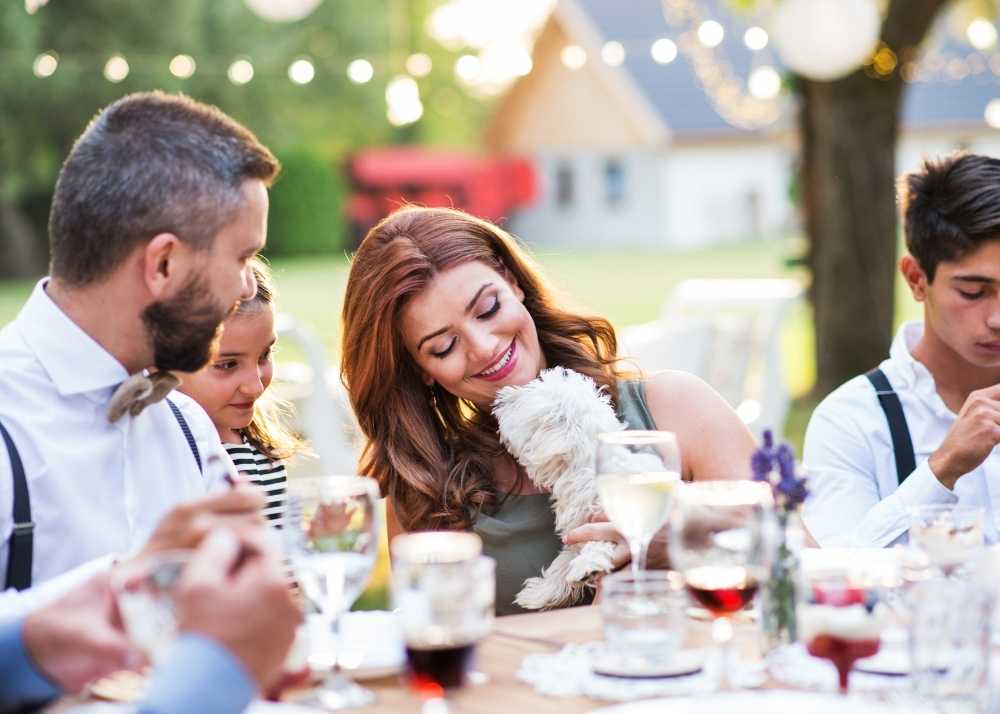 a white dog greets seated guests at a table