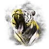 Aqomi. The Animal Kingdom Collection