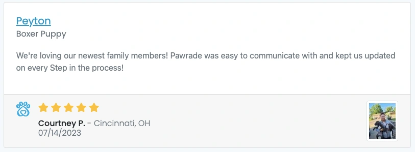 Screen Shot 2023-08-03 at 10.01.43 AM.webp