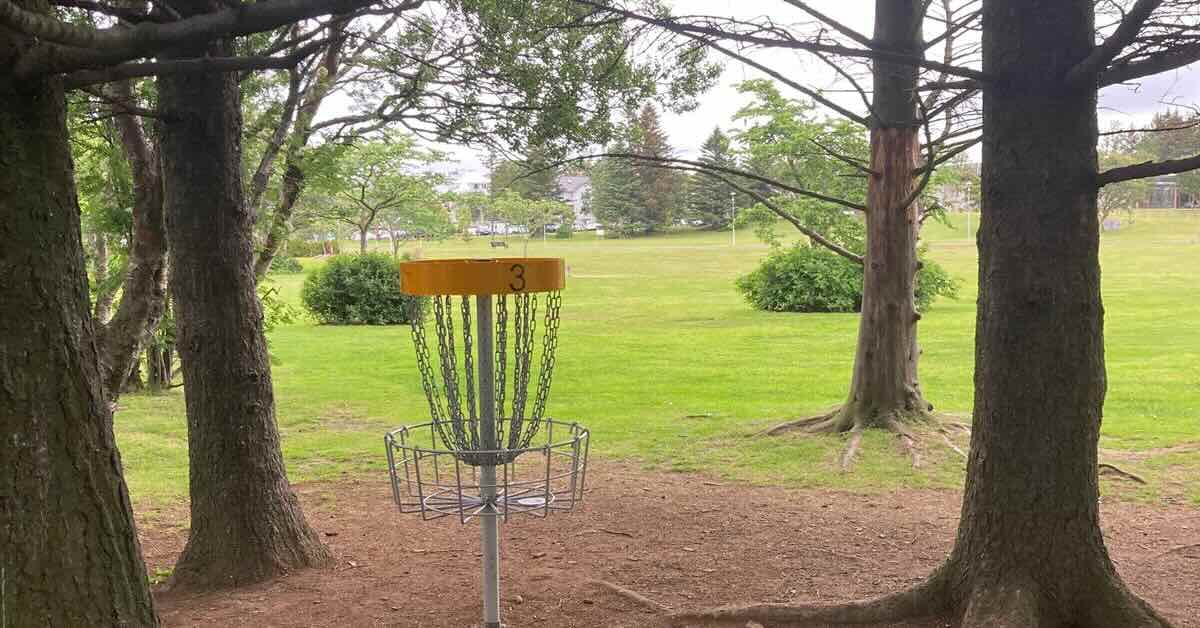 A disc golf basket between trees