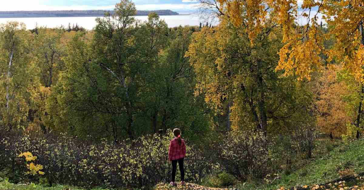 A small girl on a hill overlooks a view of fall trees and a the ocean in the distance