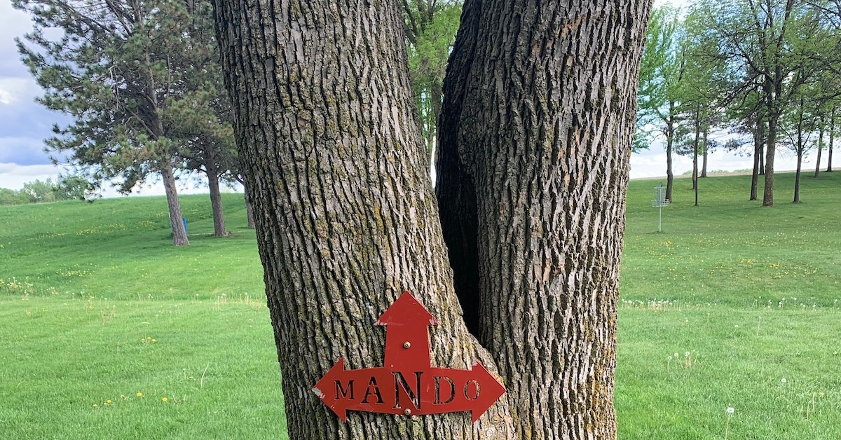 A tree with two large branches splitting from its trunk and a red sign that says "mando" with three arrows