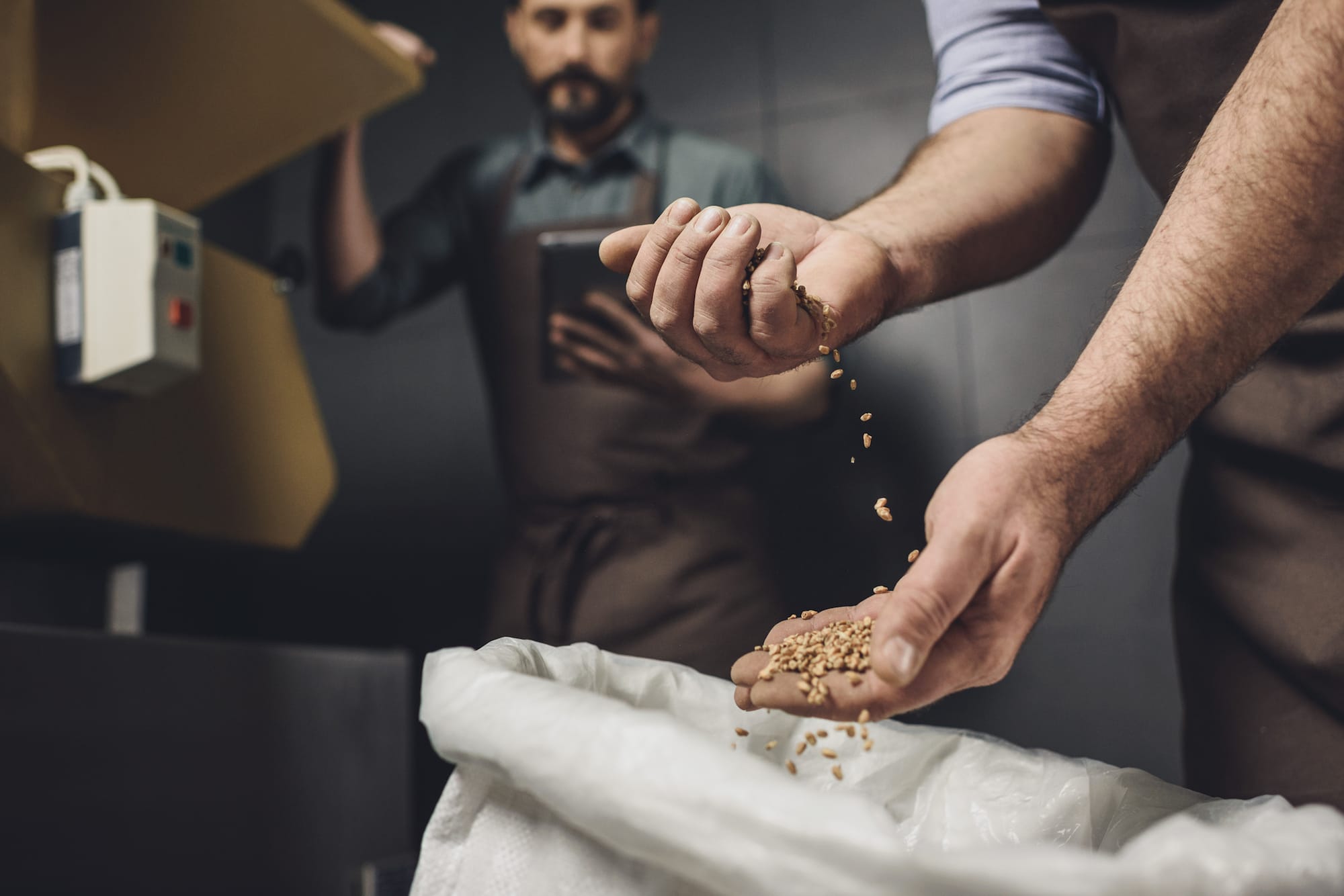 I cereali vengono versati in un sacchetto