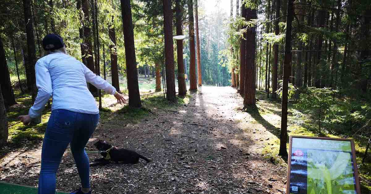 A woman throws a disc down a tightly wooded fairway