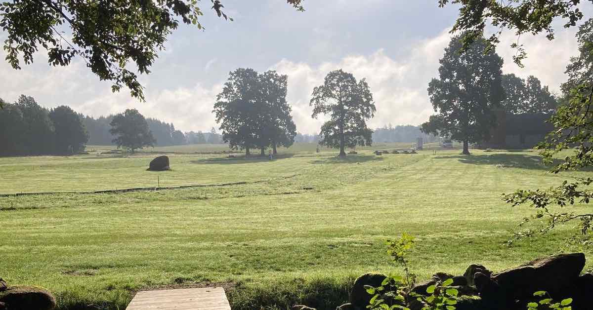 An open, mowed field with a few trees on a sunny day