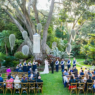 Wedding guests under willow trees.