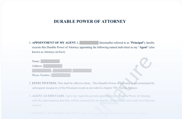 Durable Power of Attorney document preview