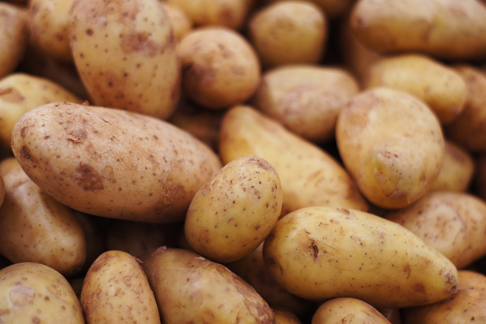 Are raw potatoes bad for dogs sale