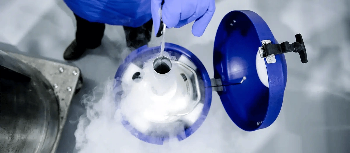 Cryopreservation