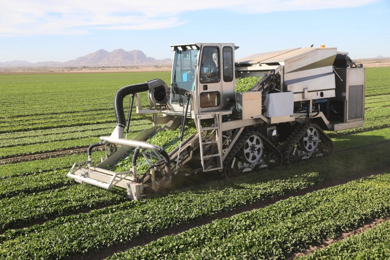 SPUDNIK's self-propelled spinach harvester with soil protective rubber tracks