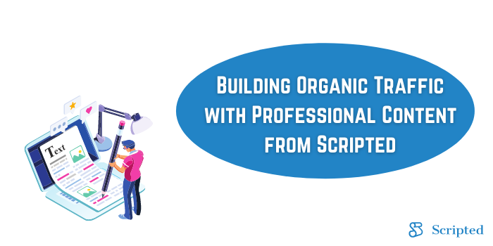 Building Organic Traffic with Professional Content from Scripted