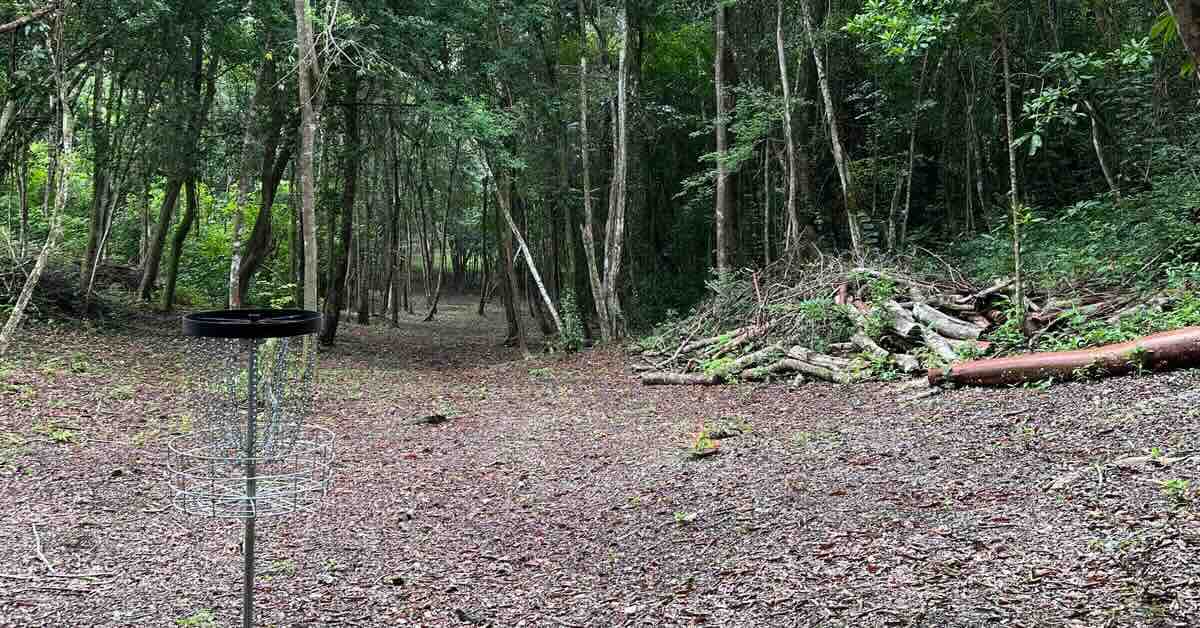 A black-banded disc golf basket in jungle landscape