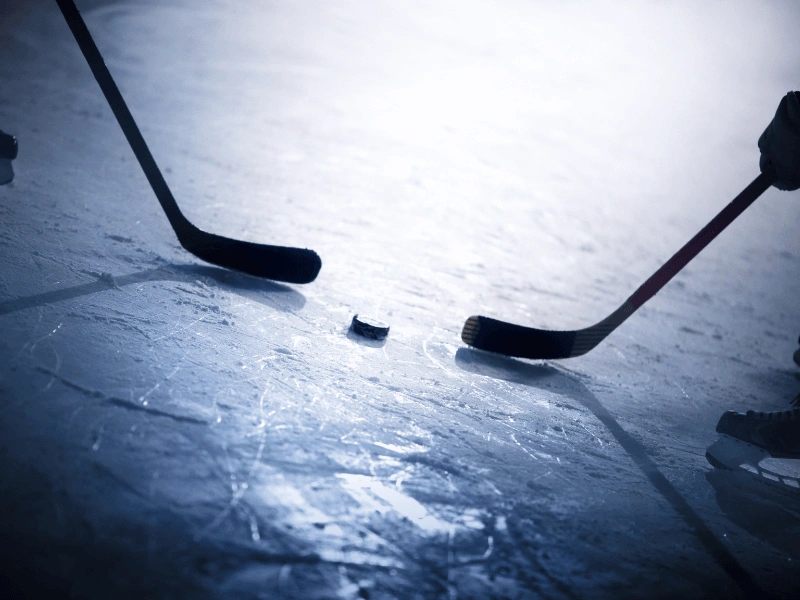 Boston Bruins (1).webp