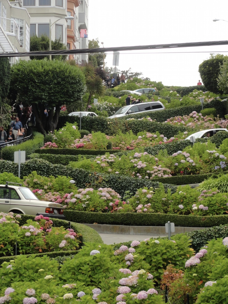 LOMBARD STREET San Francisco California