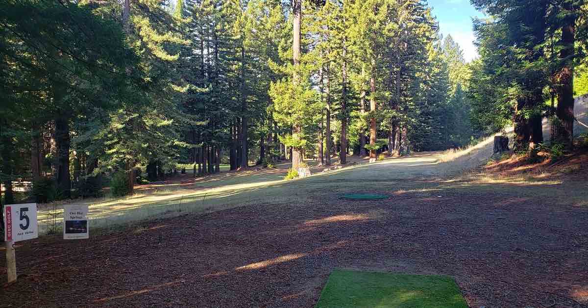 Artificial turf disc golf tee leads to fairway lined with large, western US evergreens