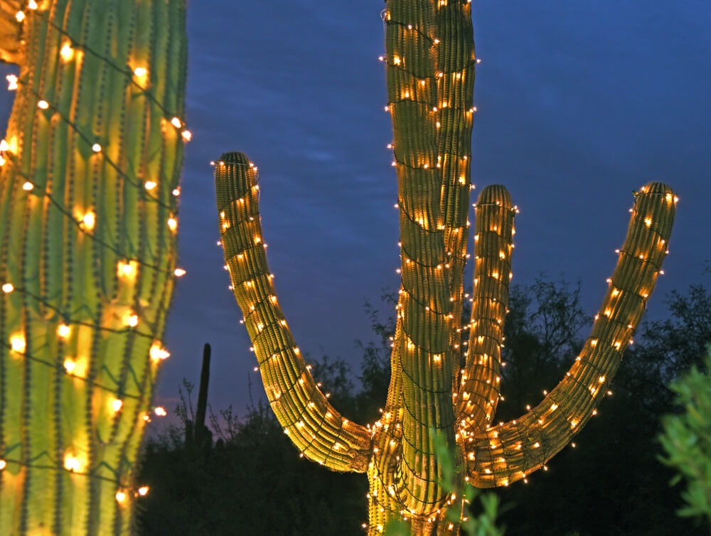 Arizona Christmas events in Tucson