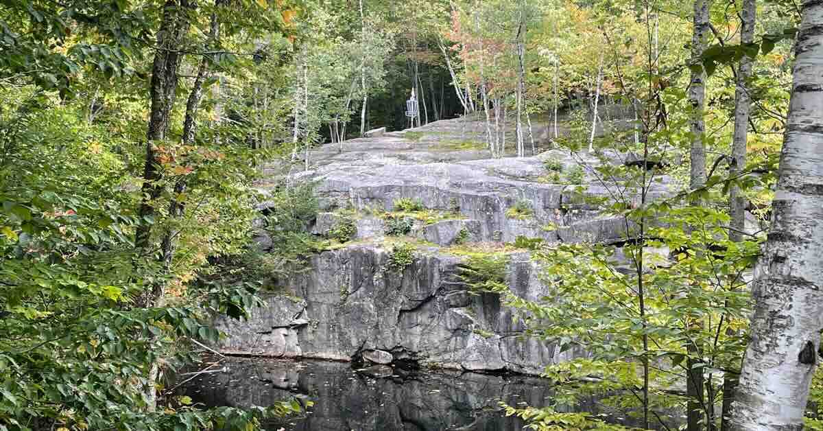 A disc golf basket perched on exposed rock in a wooded area above still water