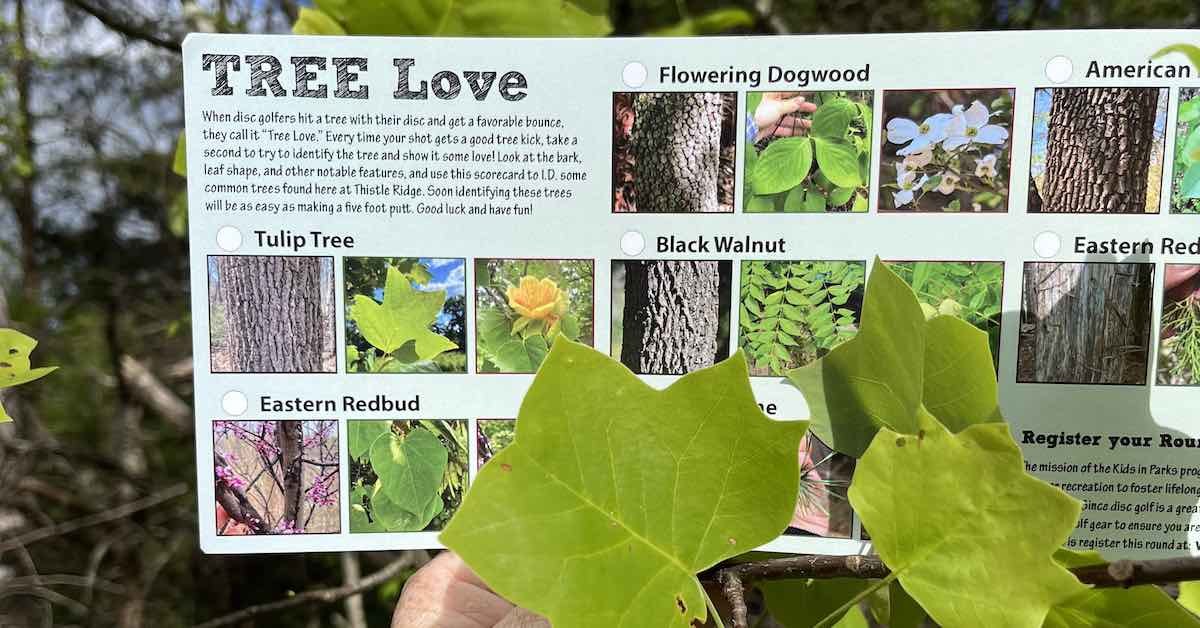 The back of a disc golf scorecard with information about identifying various trees