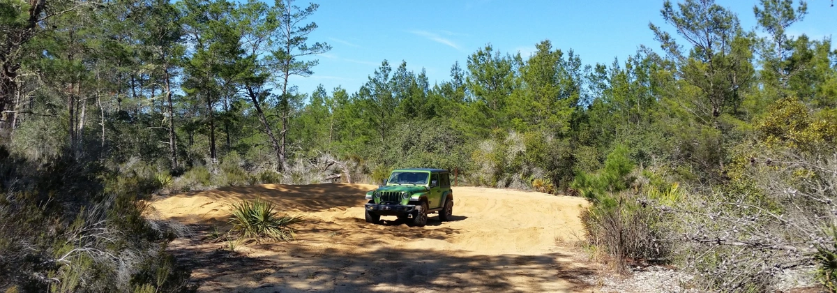 Ocala - Forest Road 46.webp