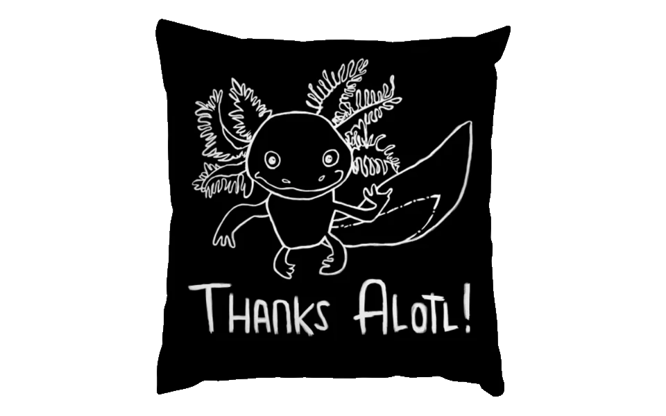 thanks-alotl-pillow-thank-you-gifts-f...