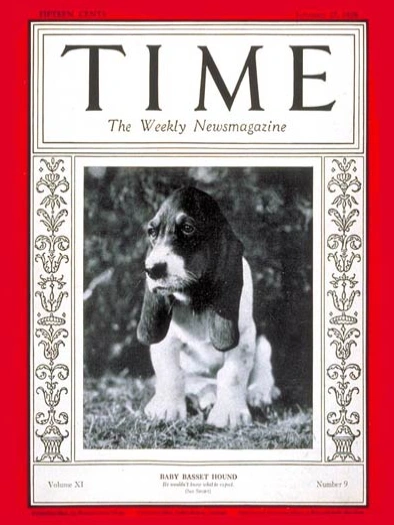 Timebassethound.webp