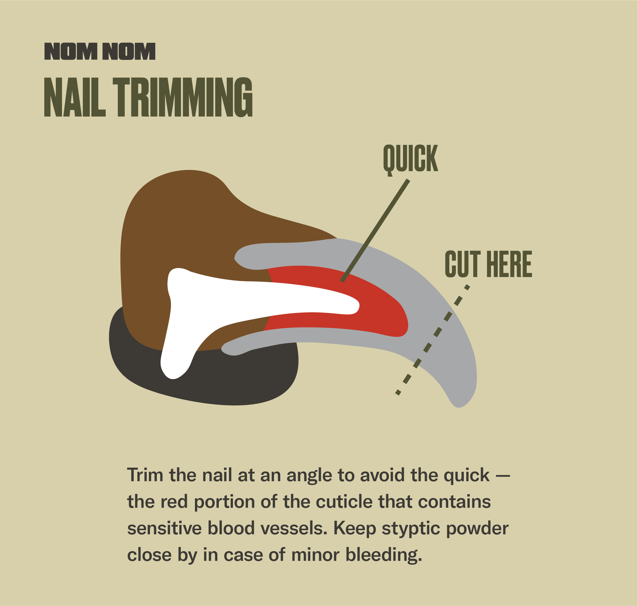 How to Trim Dog Nails that Are Overgrown - Nom Nom
