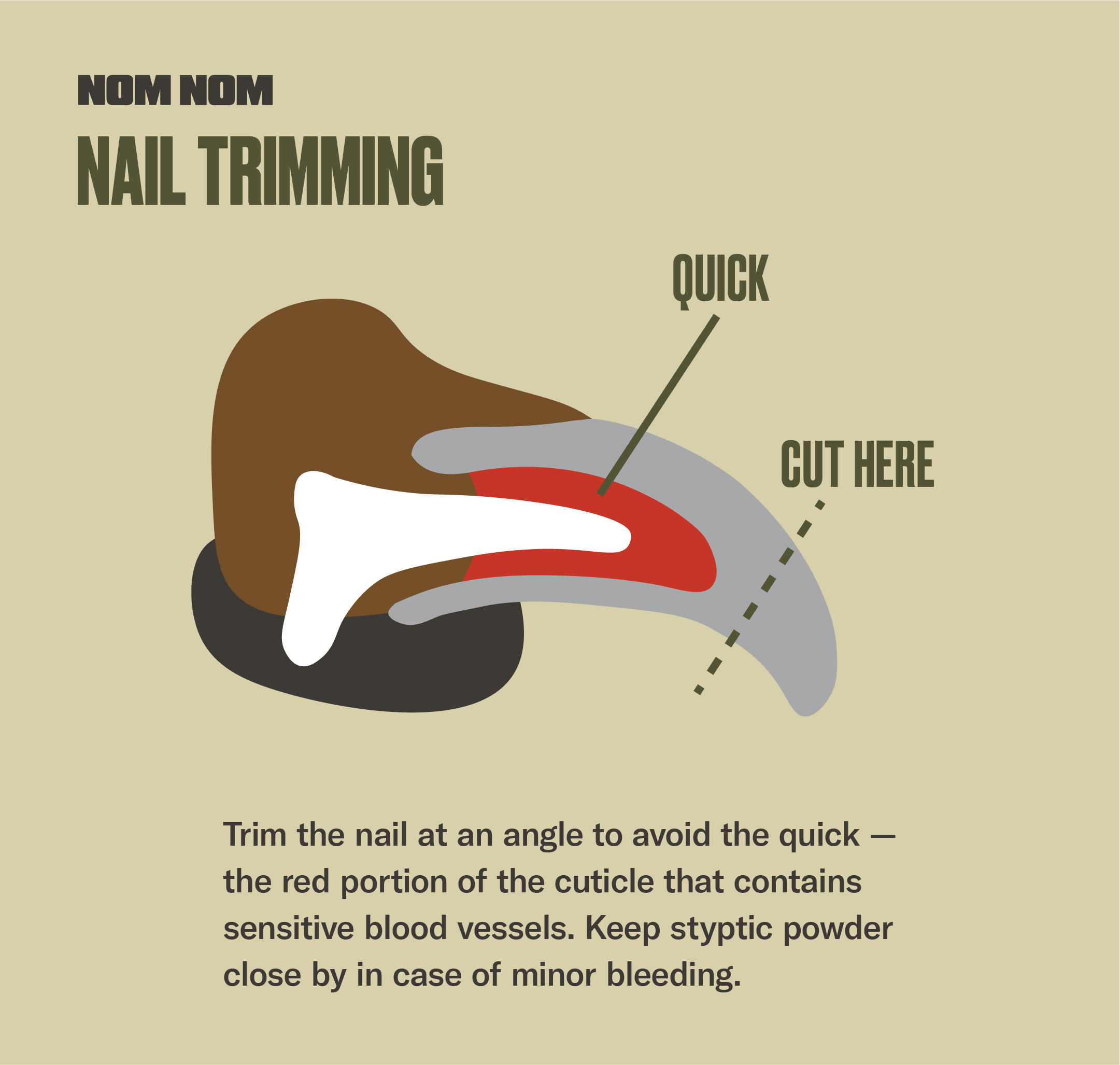 How to trim a deals dogs nails