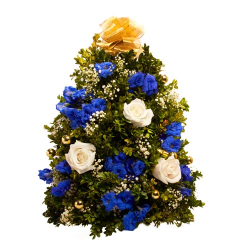 Blue flower mini live Christmas tree deliveries