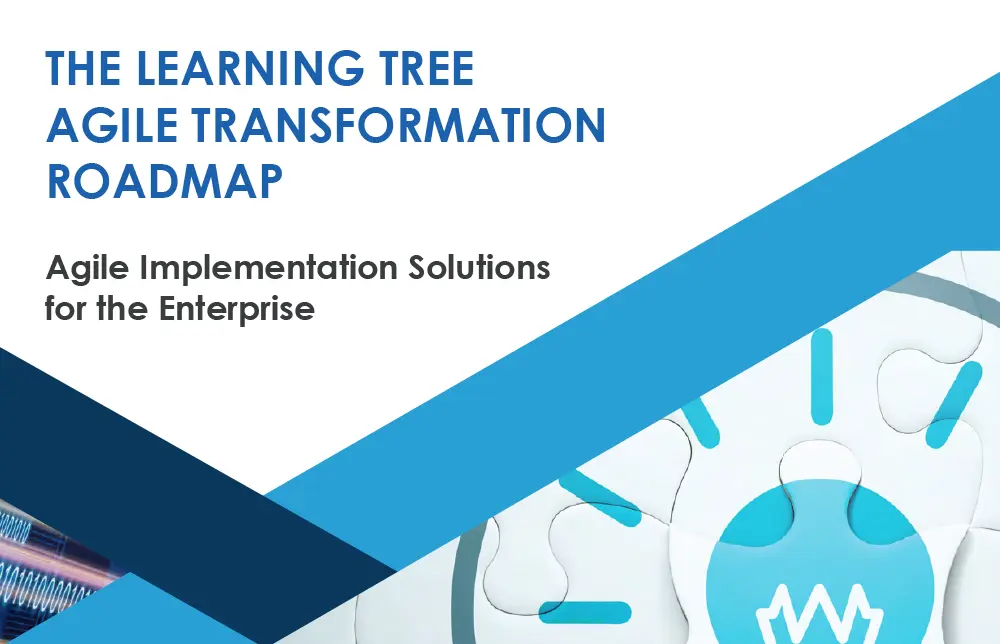 The Learning Tree Agile Transformation Roadmap