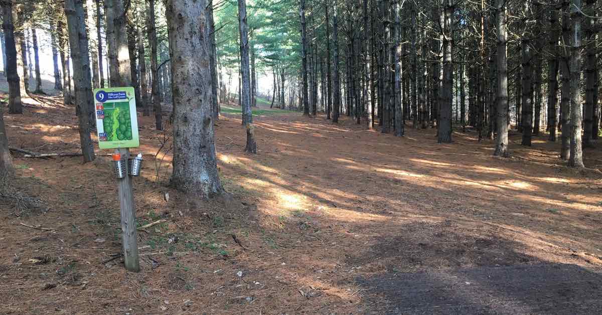 A disc golf tee pad in front of a tightly wooded fairway