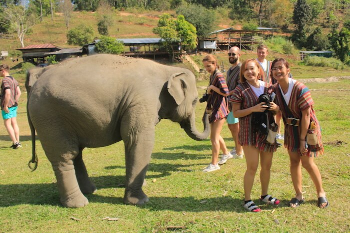 fun time with elephants