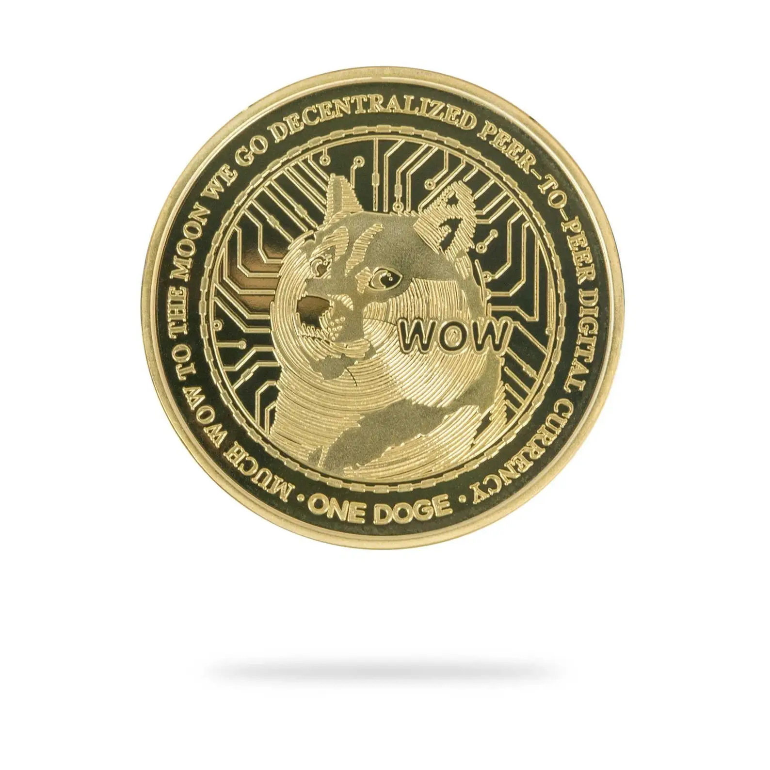Funny dogecoin gift for tech people